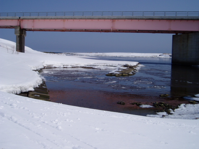 d0018763_11375299.jpg