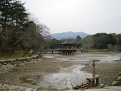 e0066369_1224125.jpg