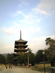 e0066369_1253623.jpg
