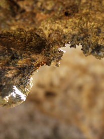 c0068090_9581593.jpg