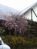 f0019093_0151789.jpg