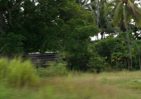 e0089001_055873.jpg