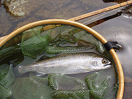 f0021008_13102249.jpg