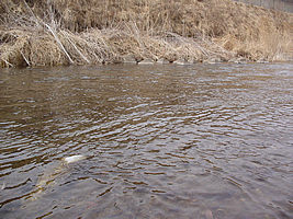 f0021008_13161367.jpg