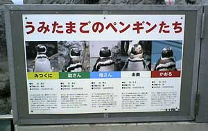 e0025410_1962037.jpg