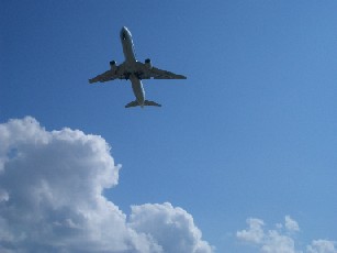 c0000816_0143290.jpg