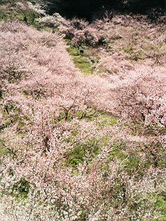 b0019820_21261350.jpg