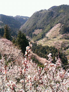 b0019820_21393742.jpg