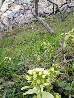 b0019820_21484838.jpg