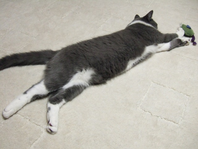 f0032020_1445645.jpg