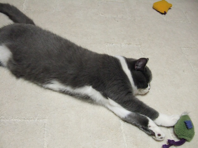 f0032020_1454141.jpg