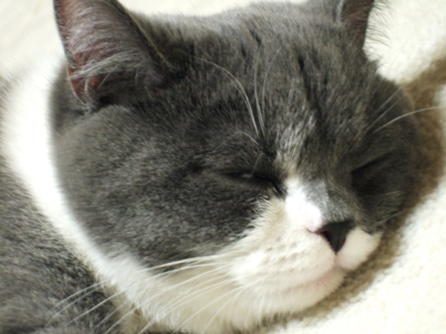 f0032020_1463156.jpg