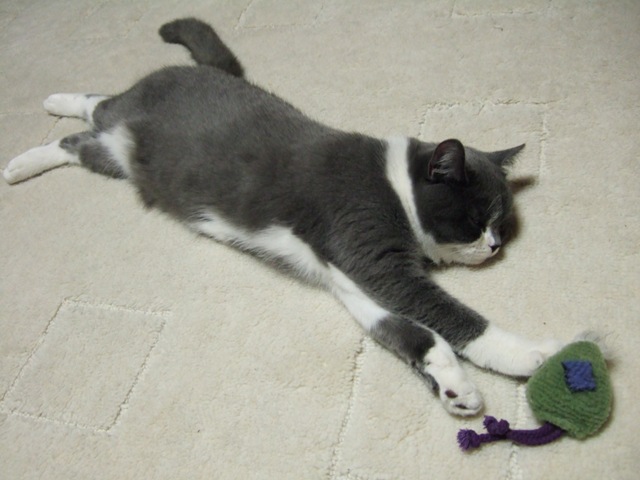 f0032020_14672.jpg