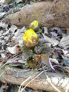 f0084723_2143422.jpg