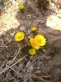 f0084723_2144741.jpg
