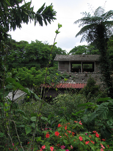 e0089826_0545488.jpg