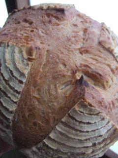 b0023240_10245530.jpg