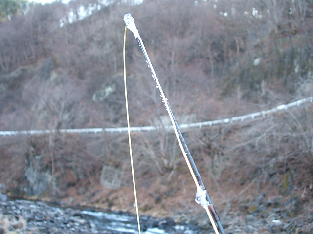 f0035443_19475315.jpg