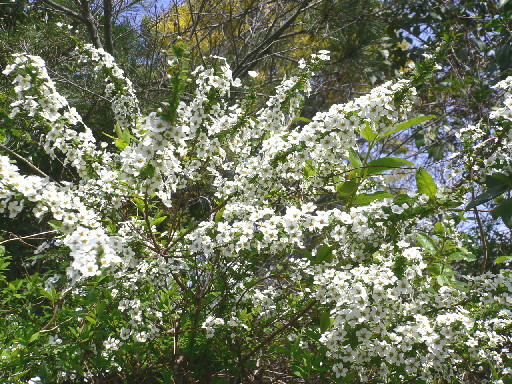 d0013149_2230316.jpg