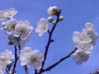 f0006649_21493129.jpg