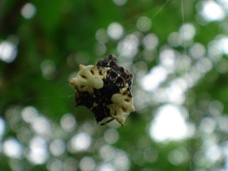b0049152_12414147.jpg