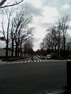 e0063653_1513129.jpg