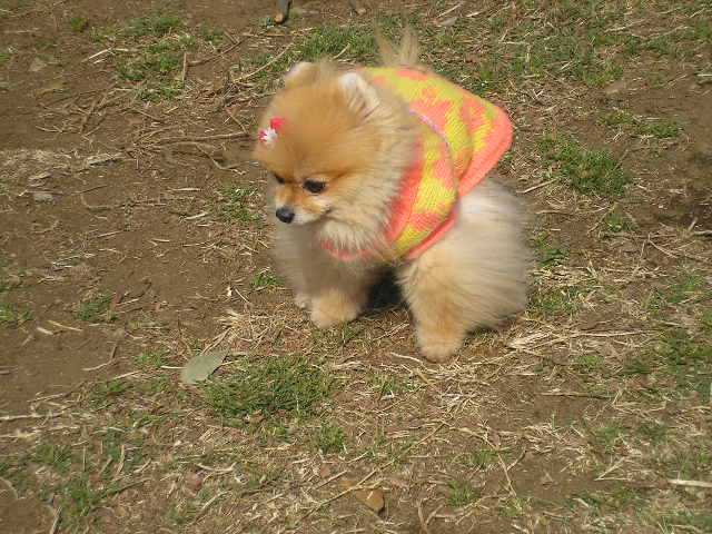 c0062954_1346217.jpg
