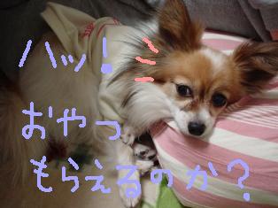 e0043162_0124974.jpg