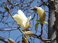 b0044663_14514979.jpg