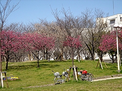 b0044663_1452762.jpg