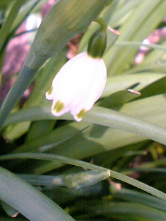 a0064865_12321465.jpg