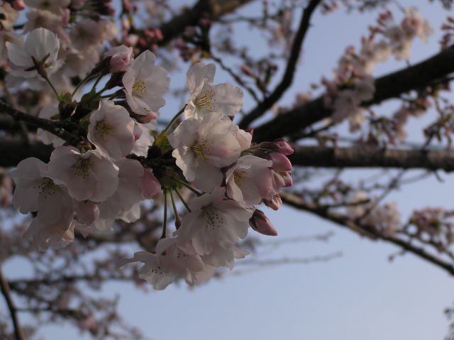 c0042869_2147876.jpg