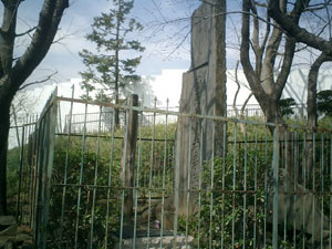 b0013376_1125427.jpg