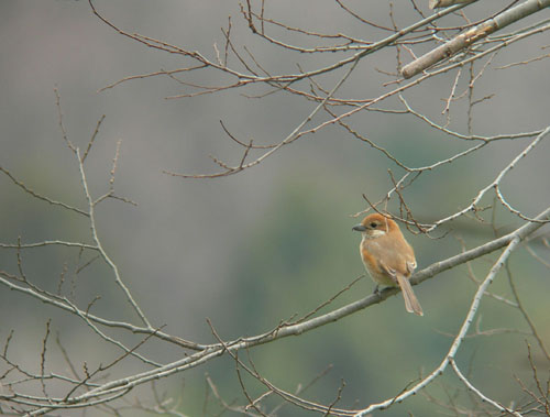 e0015377_16483742.jpg