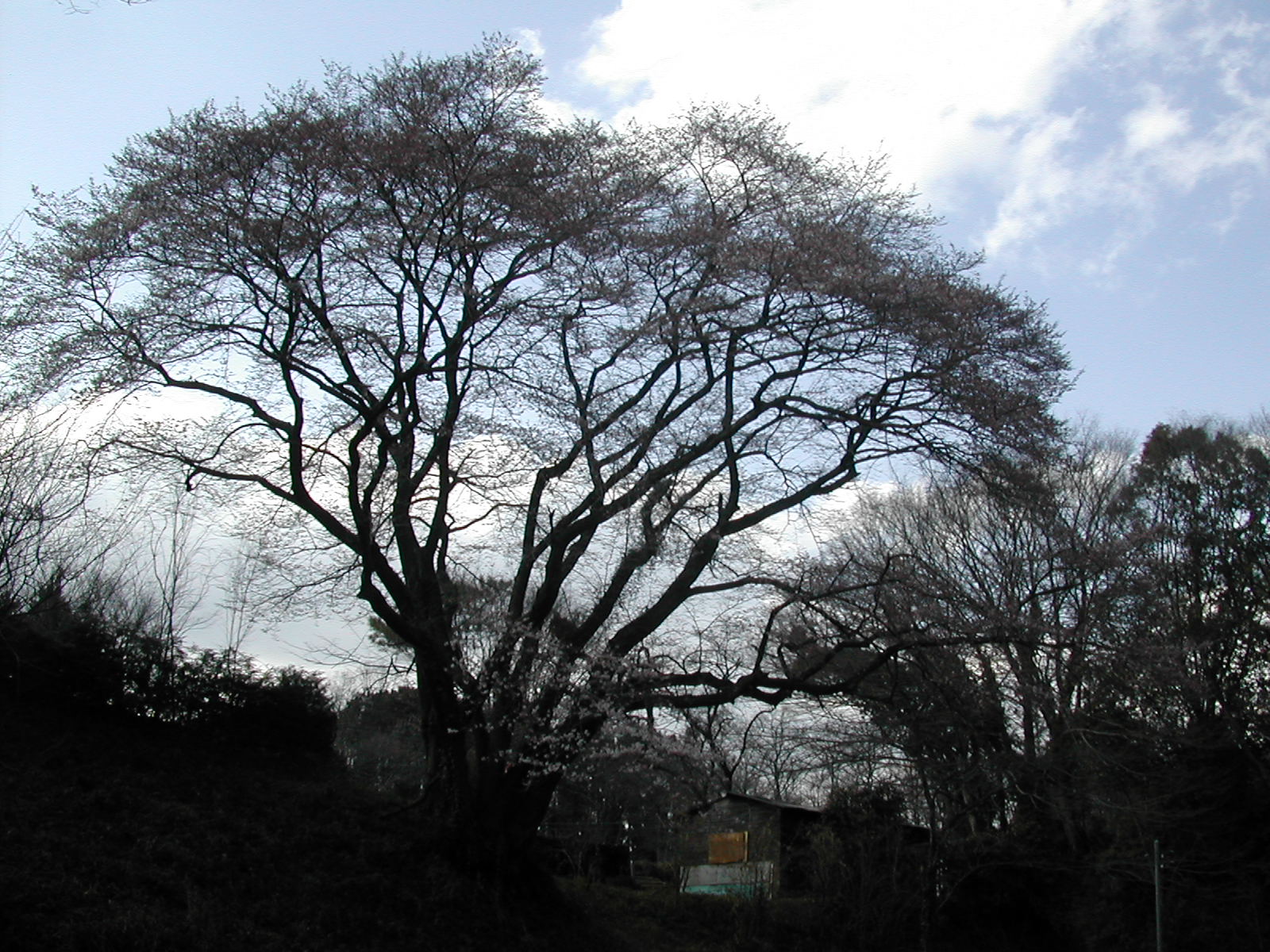 b0032079_22341223.jpg