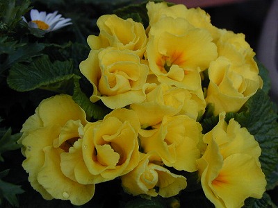 d0016179_2213518.jpg