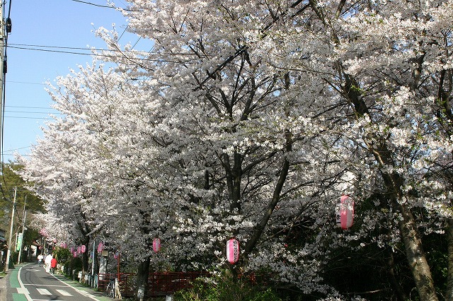 e0063580_20555197.jpg