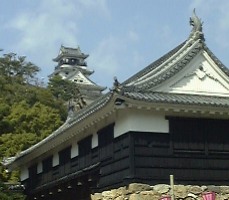 f0039281_1354912.jpg
