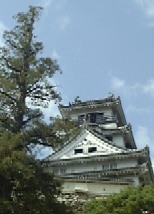 f0039281_1362773.jpg