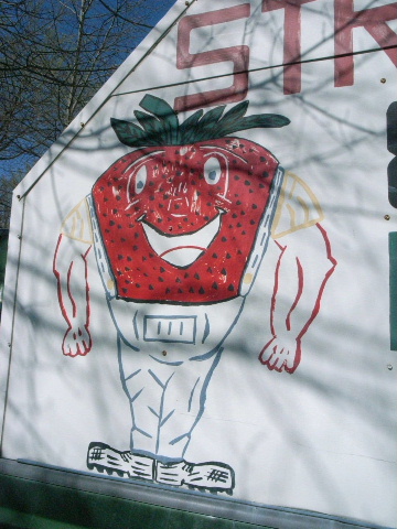 b0001284_95476.jpg
