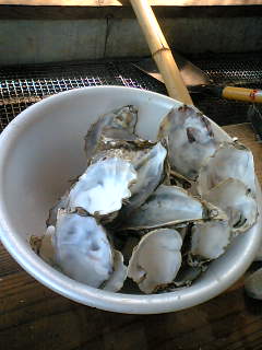 a0018688_1485460.jpg