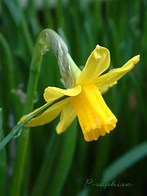 d0034988_03142.jpg