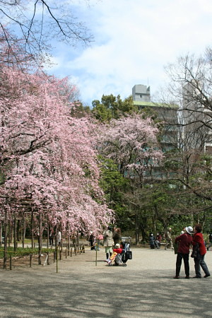 c0044199_2037476.jpg