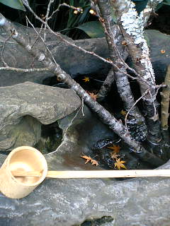 f0083400_0154260.jpg