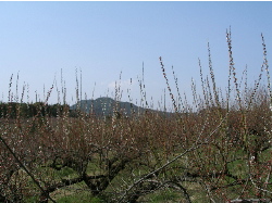 c0036203_19141586.jpg
