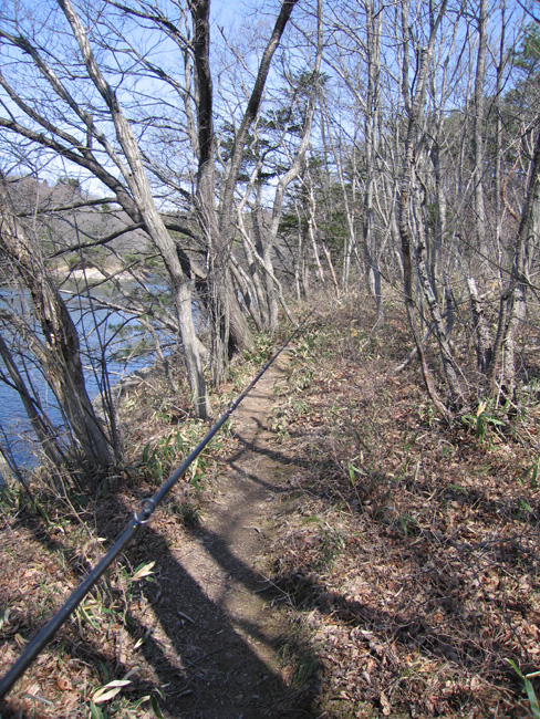 e0041606_242370.jpg