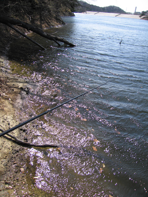 e0041606_243566.jpg