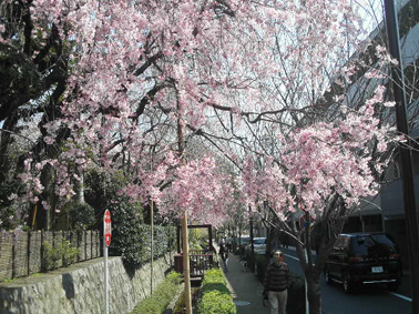 a0022014_20312696.jpg