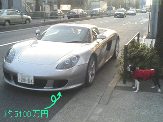 e0080117_20254095.gif