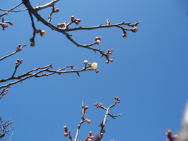 a0047618_21341319.jpg